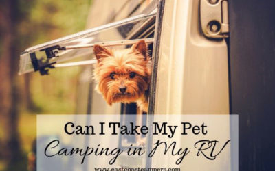 Can I Take My Pet Camping in My RV?