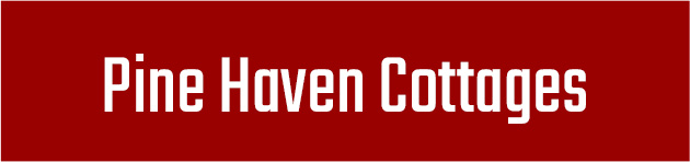 pine haven button pine haven button