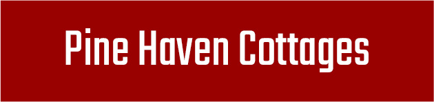 pine haven button2 pine haven button2